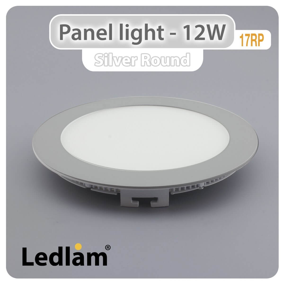 LED Panel Light 12W Round 17RP silver