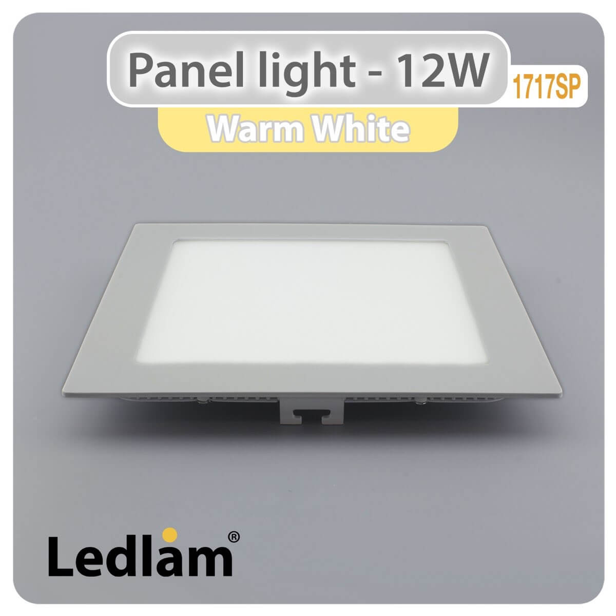 LED Panel Light 12W Square 1717SP silver