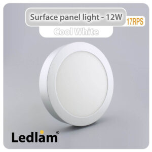 LED Surface Panel Light 12W Round 17RPS silver