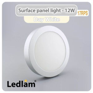 LED Surface Panel Light 12W Round 17RPS silver