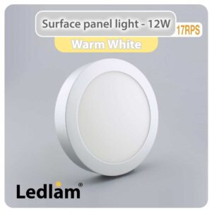 LED Surface Panel Light 12W Round 17RPS silver