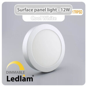 LED Surface Panel Light 12W Round 17RPSD silver - dimmable