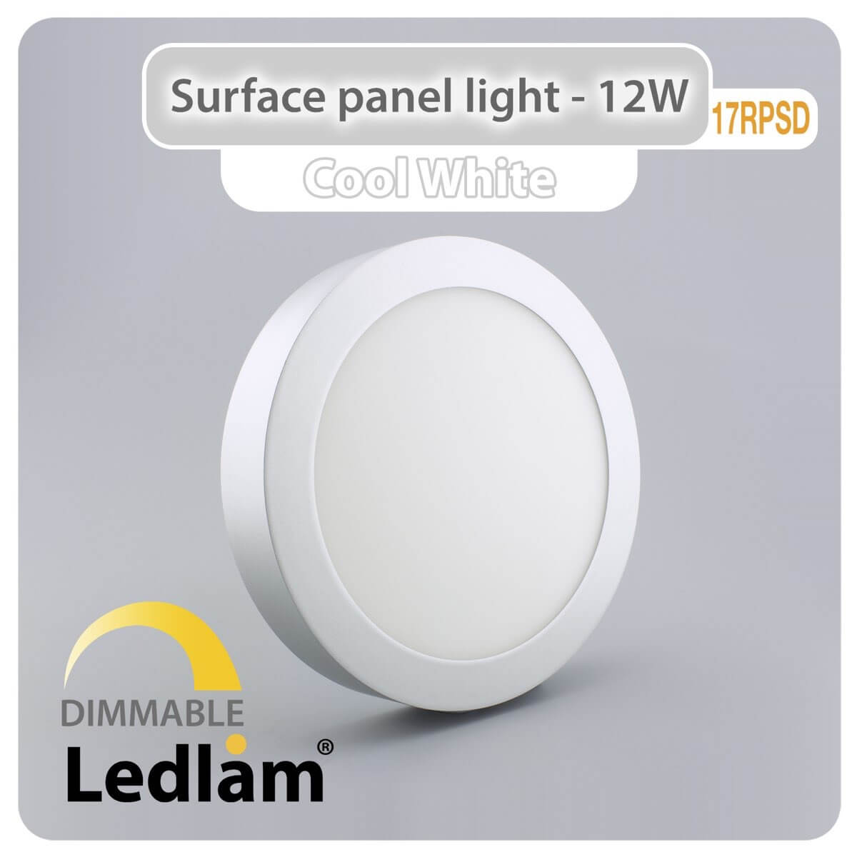 LED Surface Panel Light 12W Round 17RPSD silver - dimmable