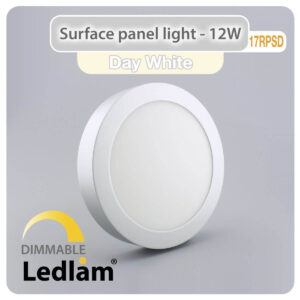 LED Surface Panel Light 12W Round 17RPSD silver - dimmable