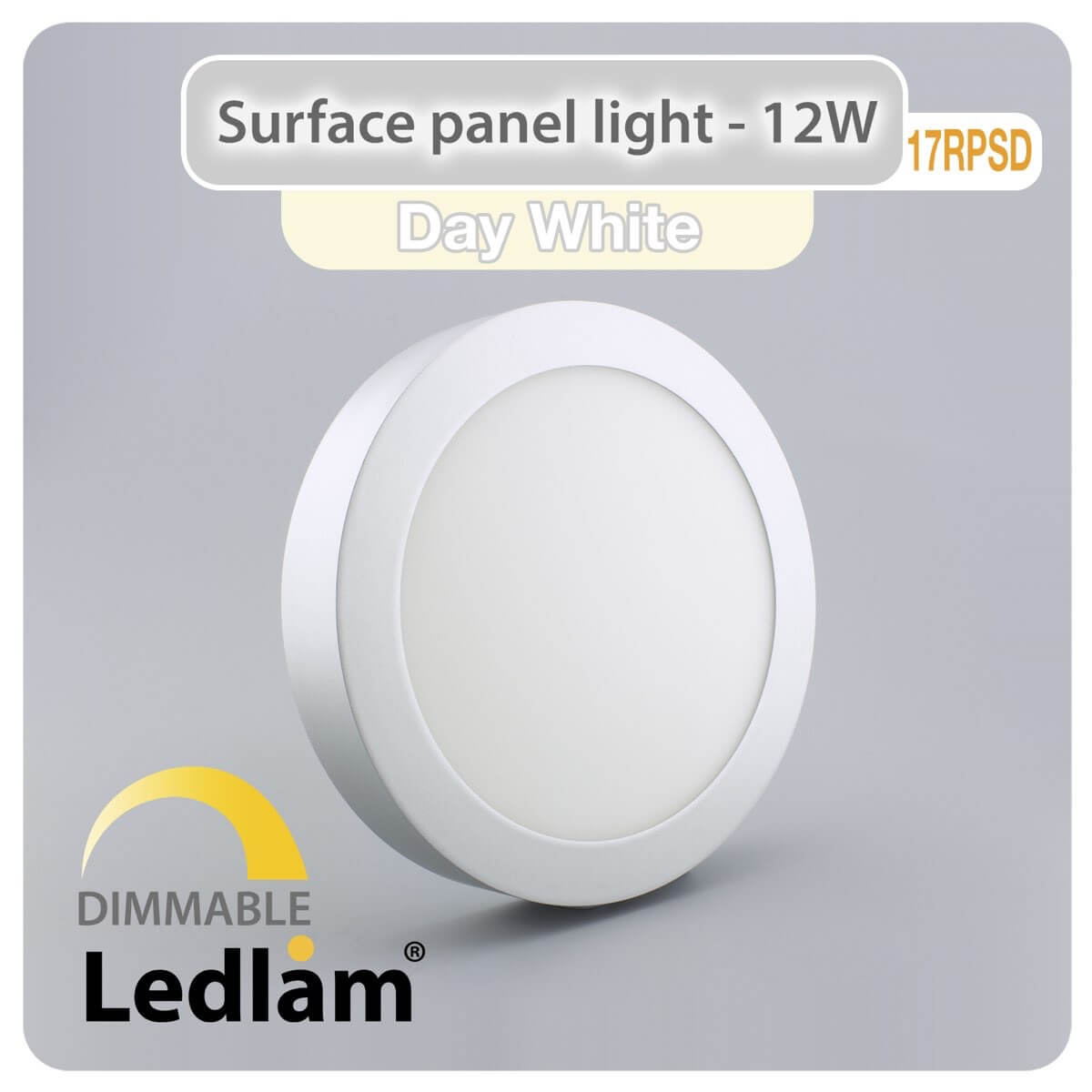 LED Surface Panel Light 12W Round 17RPSD silver - dimmable