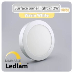 LED Surface Panel Light 12W Round 17RPSD silver - dimmable