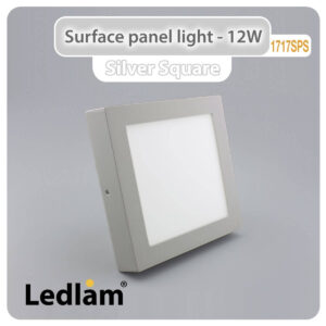 LED Surface Panel Light 12W Square 1717SPS silver