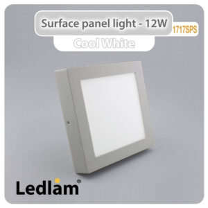 LED Surface Panel Light 12W Square 1717SPS silver