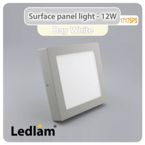 LED Surface Panel Light 12W Square 1717SPS silver