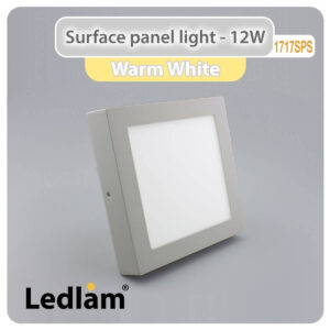 LED Surface Panel Light 12W Square 1717SPS silver